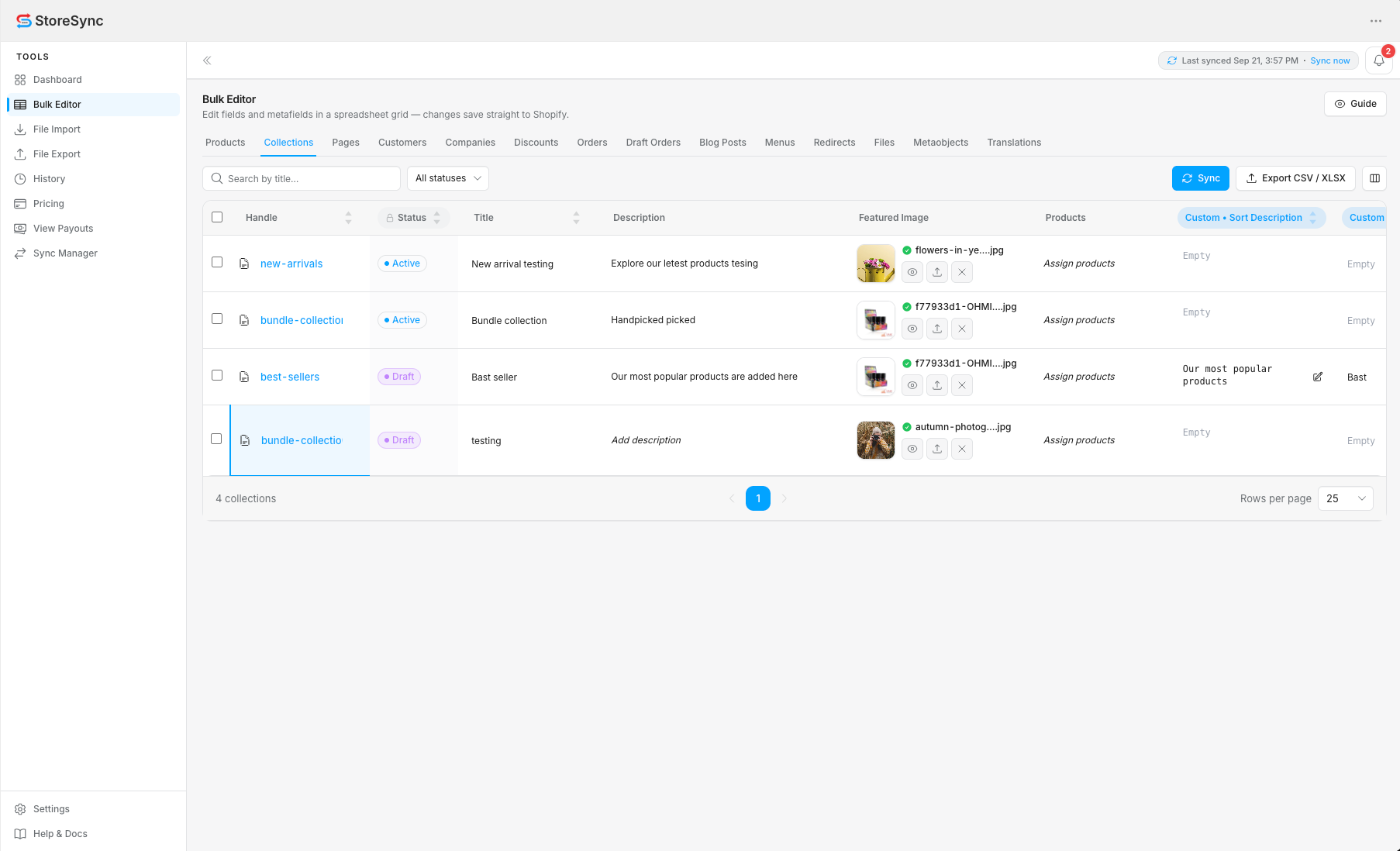 StoreSync Bulk Editor — collections